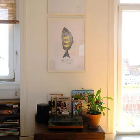 Sunny Urban Oasis アパート