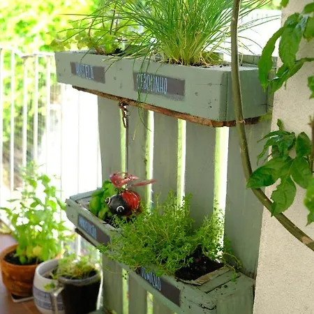 Appartement Sunny Urban Oasis *