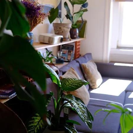 Sunny Urban Oasis Апартаменти *